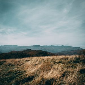 Landscape image of Max Patch